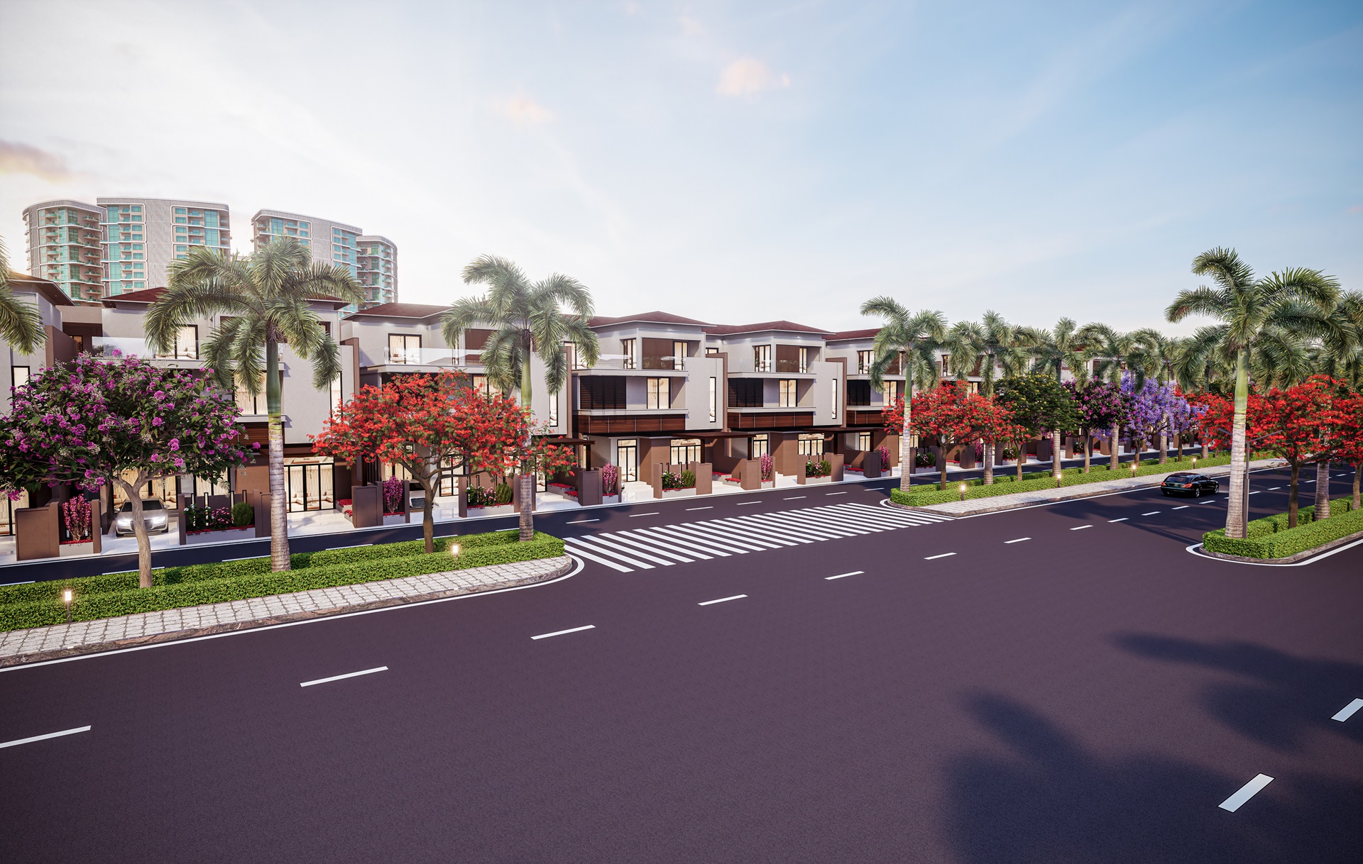 Dolphin Eden Estate 22