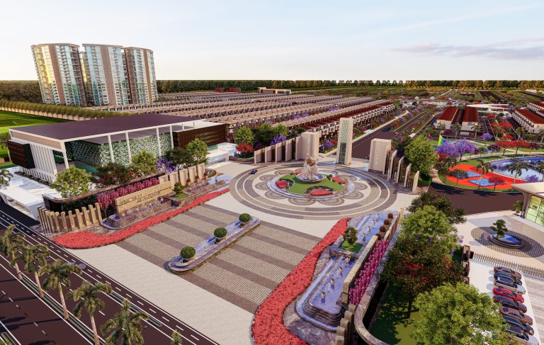 D5 Image 49 20231207 043825 copy