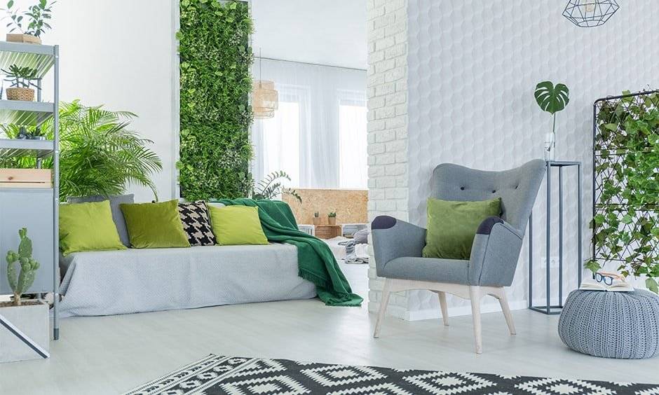 Eco-Friendly Home Interior