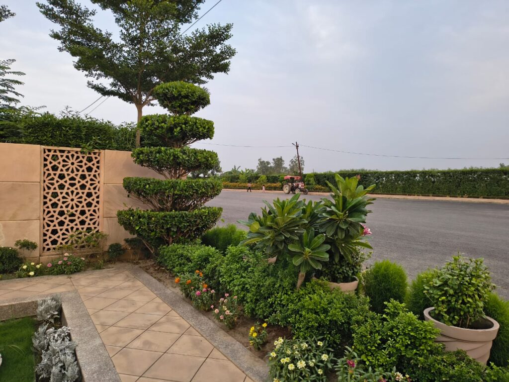 Floret Town Eco-Friendly Architecture 
